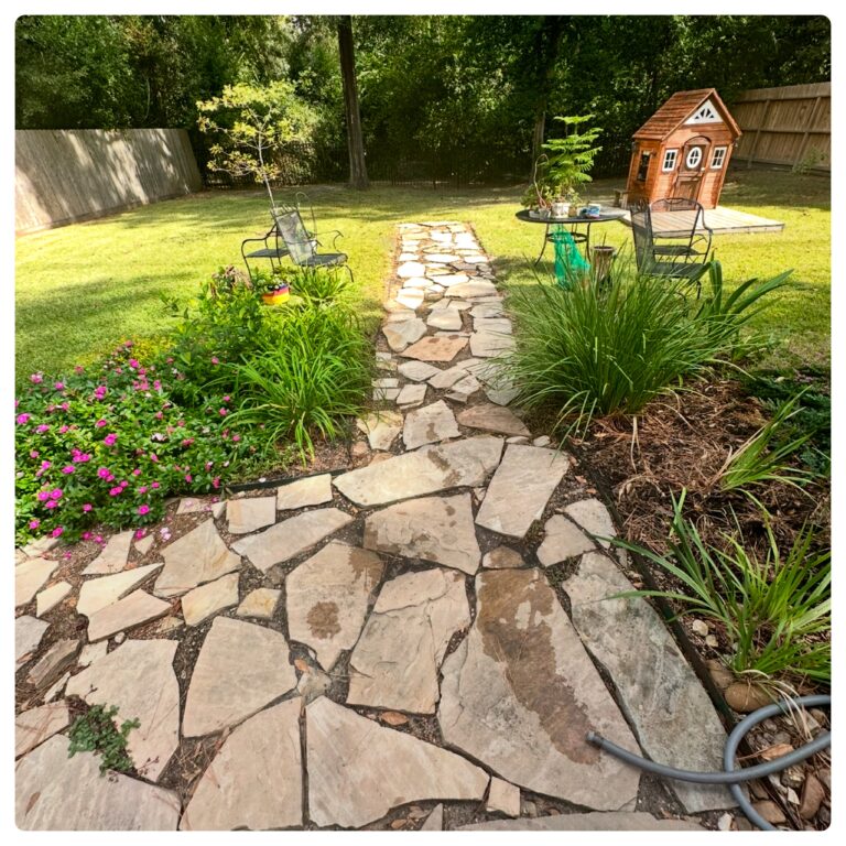 Patio 11 B
